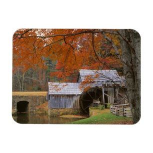 Íman EUA, Virginia, Blue Ridge Parkway, outono