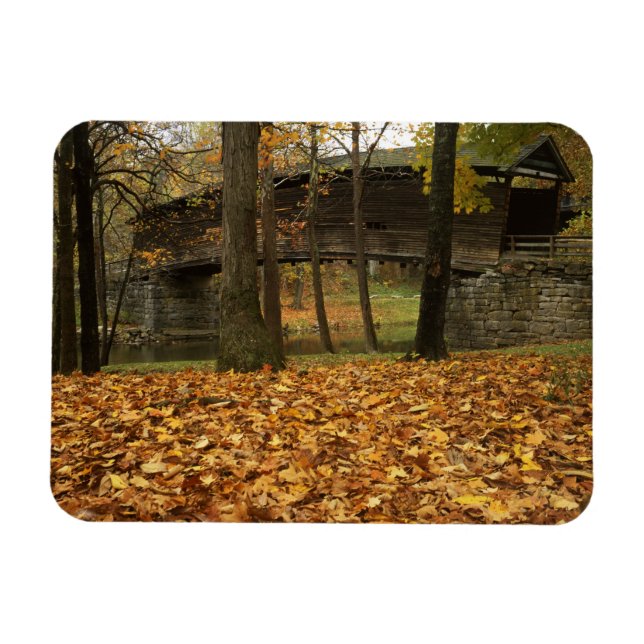 Íman EUA, Virgínia, Covington, Coberto de Humpback (Horizontal)