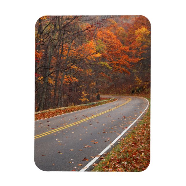 Íman EUA, Virginia, Shenandoah National Park, Skyline (Vertical)
