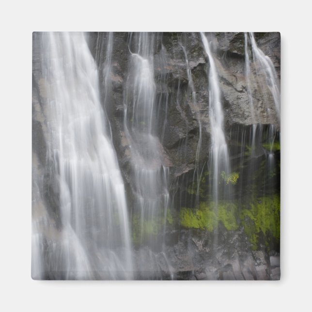 Íman EUA, WA, Monte Rainier NP, Narada Falls (Frente)