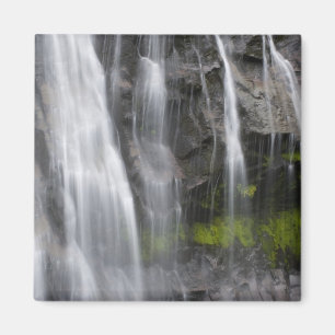 Íman EUA, WA, Mt. Rainier NP, Narada Falls