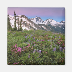 Íman EUA, Washington, Cascade Mountains, Norte