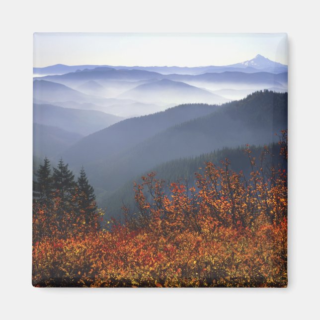 Íman EUA, Washington, Columbia River Gorge National (Frente)