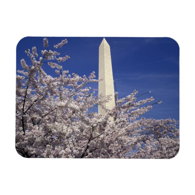 Íman EUA, Washington DC. Festival Cherry Blossom e (Horizontal)