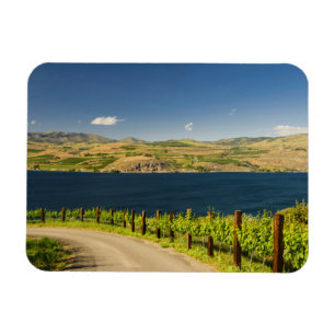 Íman EUA, Washington, Lago Chelan. Vinhedo