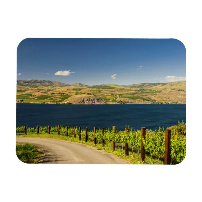 Íman EUA, Washington, Lago Chelan. Vinhedo (Horizontal)