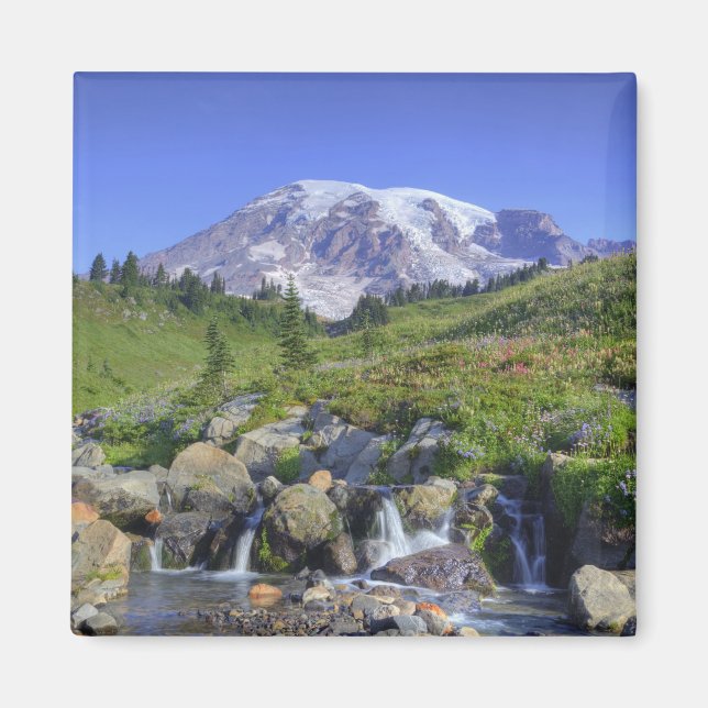 Íman EUA, Washington, Mt. Rainier NP, Mt. Rainier e 2 (Frente)