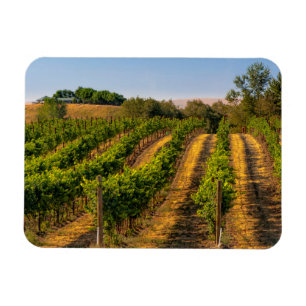 Íman EUA, Washington Oriental, Walla Walla Vineyards