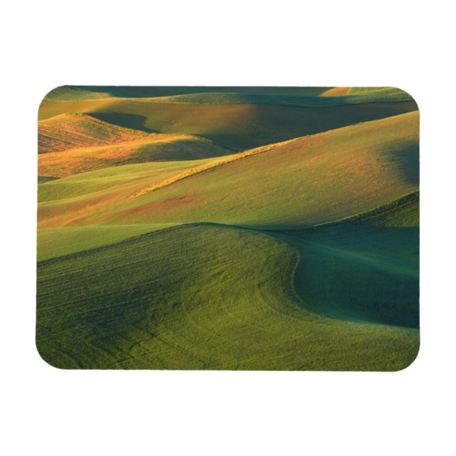 Íman EUA, Washington, Palouse, Condado de Whitman (Horizontal)