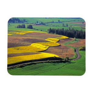 Íman EUA, Washington, Palouse, Whitman County 2