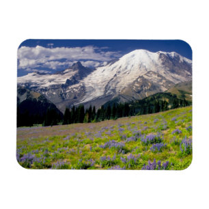 Íman EUA, Washington, Parque Nacional Mt. Rainier.