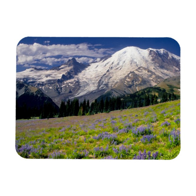 Íman EUA, Washington, Parque Nacional Mt. Rainier. (Horizontal)