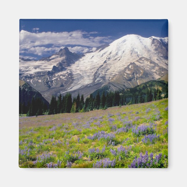 Íman EUA, Washington, Parque Nacional Mt. Rainier. (Frente)