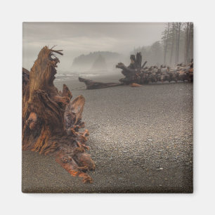 Íman EUA, Washington, Parque Nacional Olimpiadas, Rialt