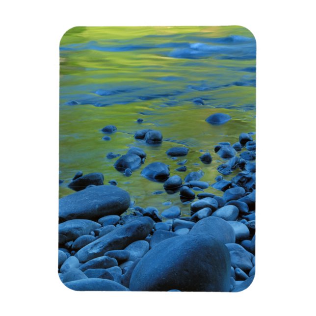 Íman EUA, Washington, Parque Nacional Olímpico 4 (Vertical)
