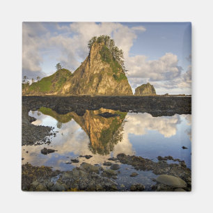 Íman EUA, Washington, Parque Nacional Olímpico.  A