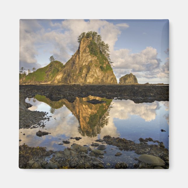 Íman EUA, Washington, Parque Nacional Olímpico.  A (Frente)