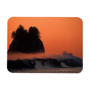 Íman EUA, Washington, Parque Nacional Olímpico, Mar
