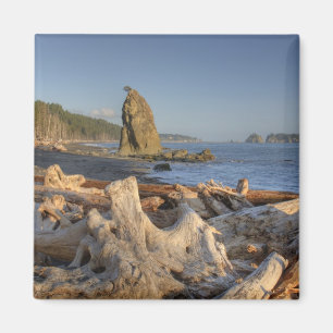 Íman EUA, Washington, Parque Nacional Olímpico, Rialto