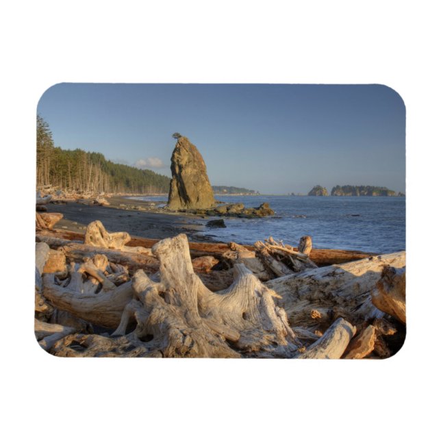 Íman EUA, Washington, Parque Nacional Olímpico, Rialto (Horizontal)