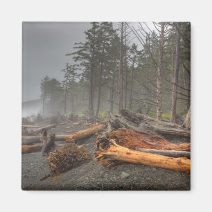 Íman EUA, Washington, Parque Nacional Olímpico, Rialto