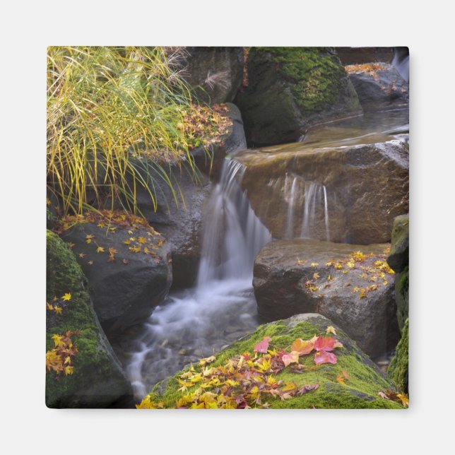 Íman EUA, Washington, Seattle (Frente)