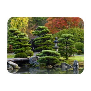 Íman EUA, Washington, Seattle, Arboreto, Japonês