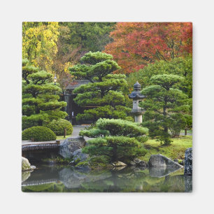 Íman EUA, Washington, Seattle, Arboreto, Japonês