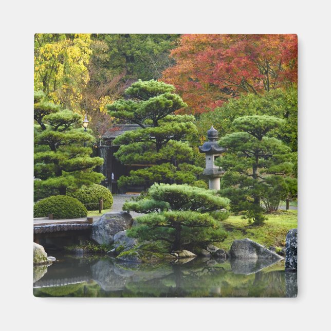 Íman EUA, Washington, Seattle, Arboreto, Japonês (Frente)