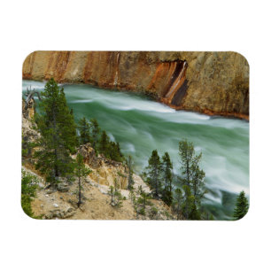 Íman EUA, Wyoming, Parque Nacional de Yellowstone