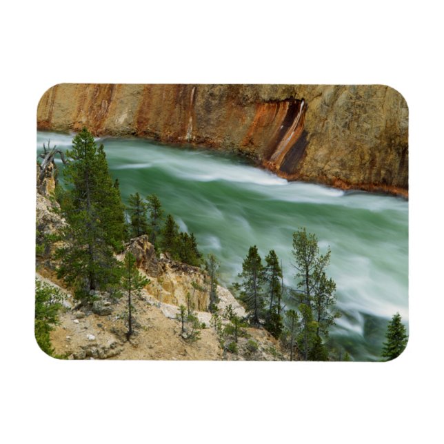 Íman EUA, Wyoming, Parque Nacional de Yellowstone (Horizontal)