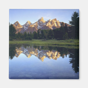 Íman EUA, Wyoming, Parque Nacional Grand Teton. Grand