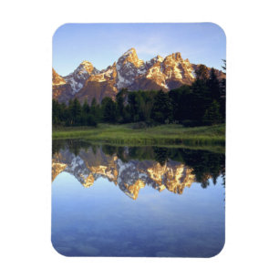 Íman EUA, Wyoming, Parque Nacional Grand Teton. Grand