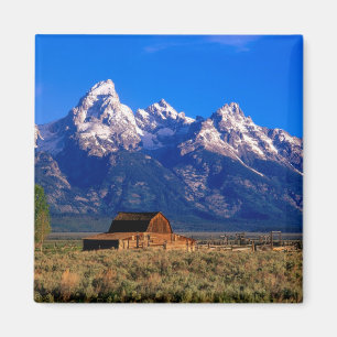 Íman EUA, Wyoming, Parque Nacional Grand Teton, Manhã