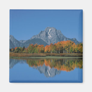 Íman EUA, Wyoming, Parque Nacional Grand Tetons em 4