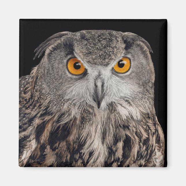Íman Eurasian Eagle Owl Magnet (Frente)