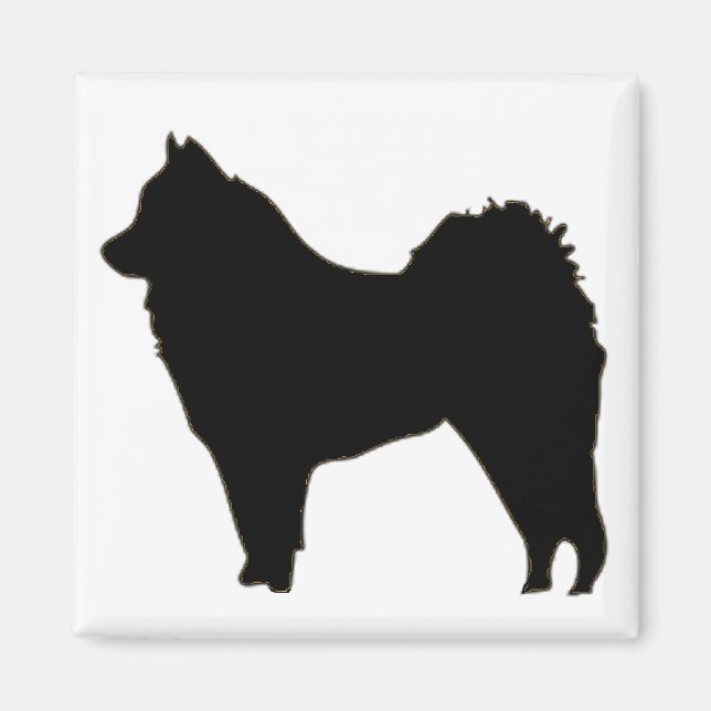 Íman eurasier (Frente)