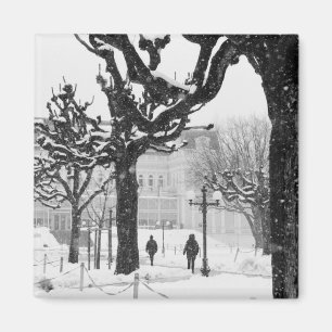 Íman Europa, Áustria, Salzburgo. Inverno,