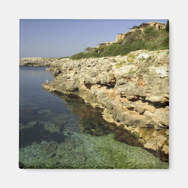 Íman Europa, Espanha, Minorca (também conhecida como Me (Frente)