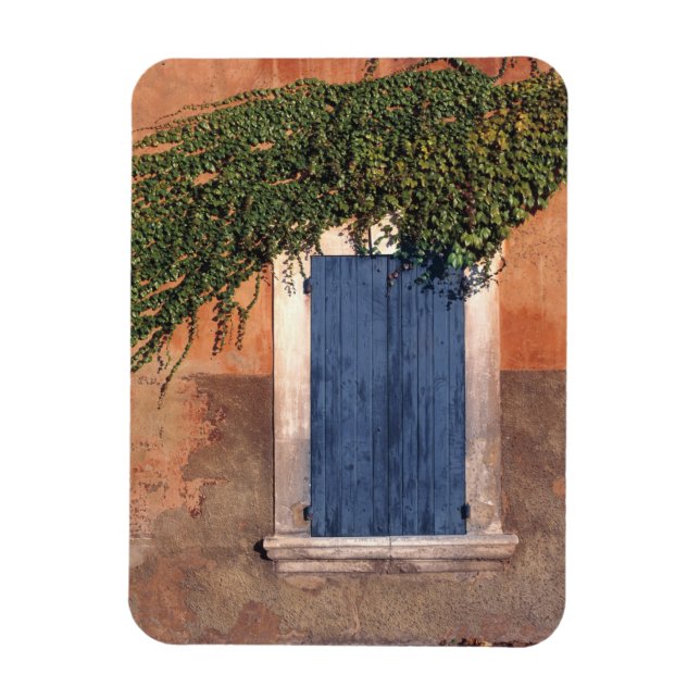 Íman Europa, França, Roussillon. A hera cobre a parede (Vertical)