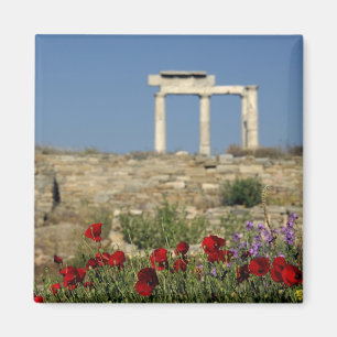 Íman Europa, Grécia, Cíclades, Delos. Ruínas de coluna.
