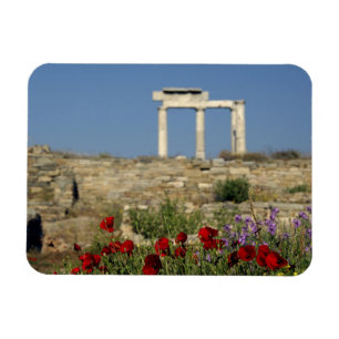 Íman Europa, Grécia, Cíclades, Delos. Ruínas de coluna.