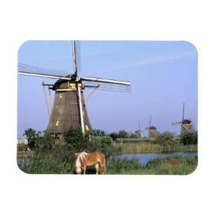 Íman Europa, Holanda, Zuid Holland, Kinderdijk. 2