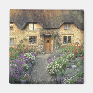 Íman Europa, Inglaterra, Chippenham. Luz de madrugada