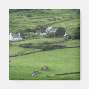 Íman Europa, Irlanda, Condado de Kerry, Ring of Kerry.