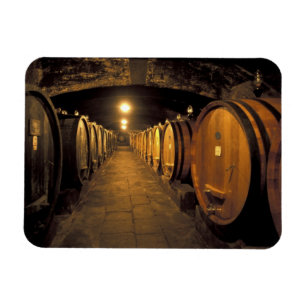 Íman Europa, Itália, região da Toscana. Adega Chianti