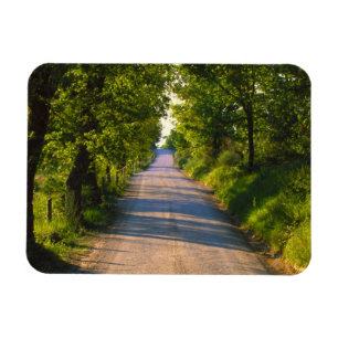 Íman Europa, Itália, Toscana, estrada arborizada