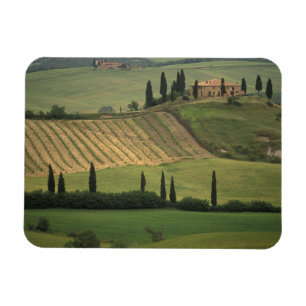 Íman Europa, Itália, Toscana, Val d'Orcia, Toscano