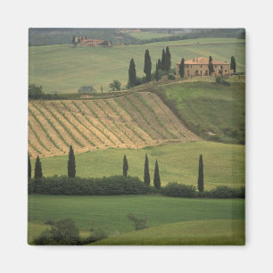 Íman Europa, Itália, Toscana, Val d'Orcia, Toscano