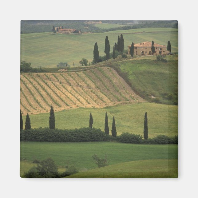 Íman Europa, Itália, Toscana, Val d'Orcia, Toscano (Frente)